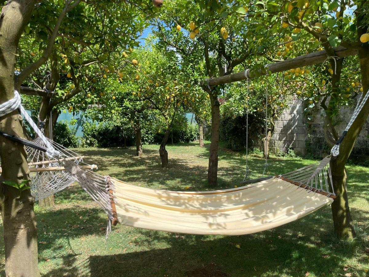 Casa Sorrento, Immerso Nel Verde A Pochi Passi Dal Centro ภายนอก รูปภาพ