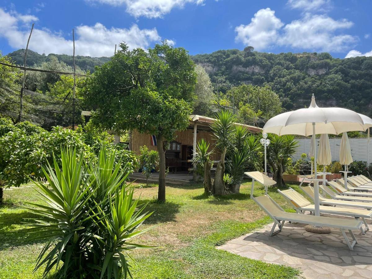 Casa Sorrento, Immerso Nel Verde A Pochi Passi Dal Centro ภายนอก รูปภาพ