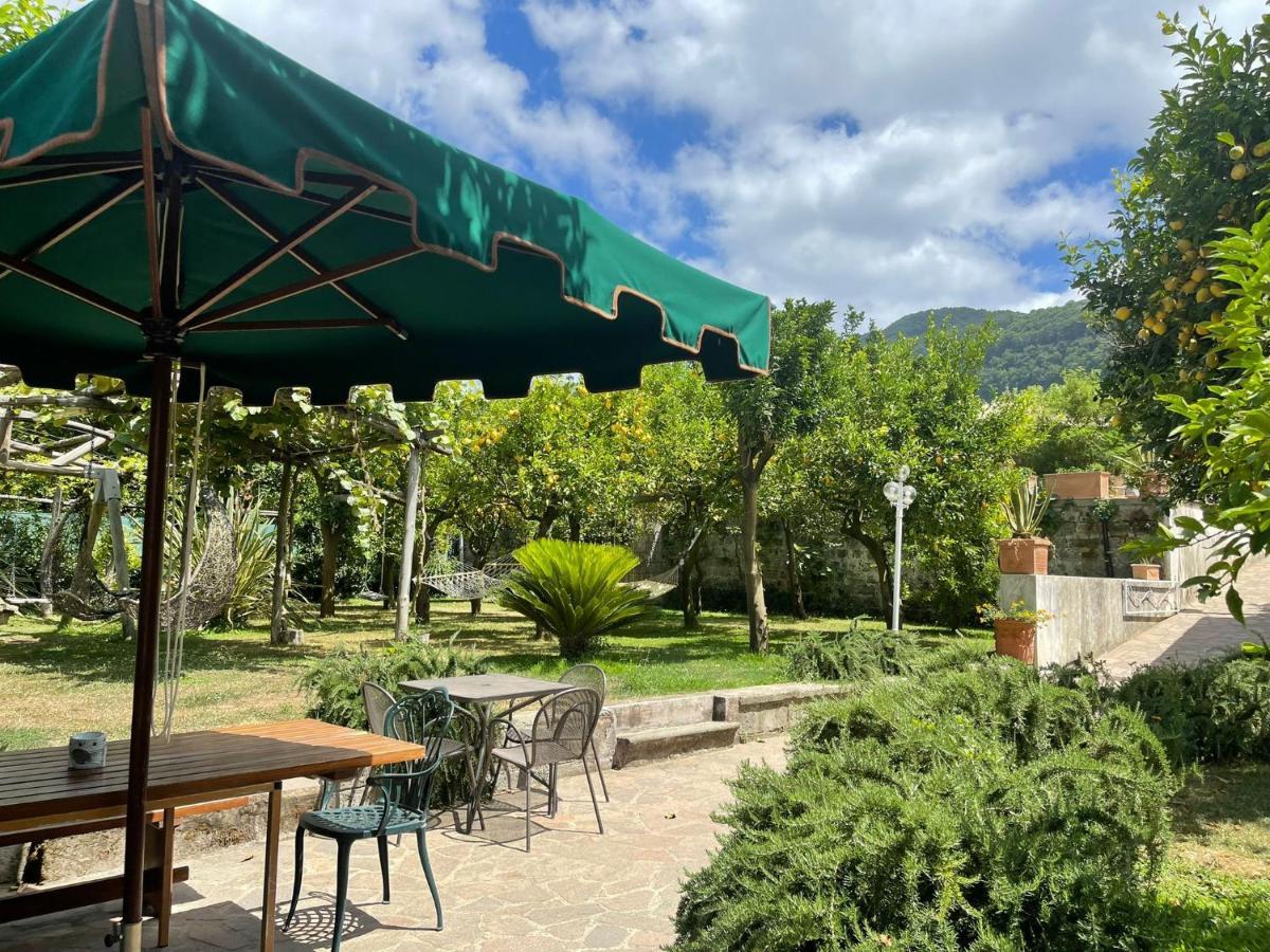 Casa Sorrento, Immerso Nel Verde A Pochi Passi Dal Centro ภายนอก รูปภาพ